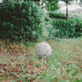 「何も変わらない」に慣れすぎてしまった常温生活から一歩を踏み出す