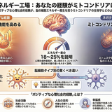 「頑張りたいのに頑張れない」のは甘えではなく脳のエネルギー不足かもしれない